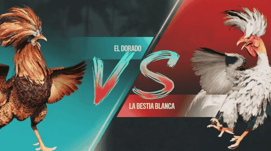 xwin Cassino Apostas jogos
